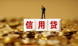 成都急用哪里可以民间借贷-成都急用私人借钱当天拿钱-成都急用贷款联系电话