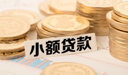 成都急用哪里有小额贷款-成都急用身份证贷款平台-成都急用民间短借